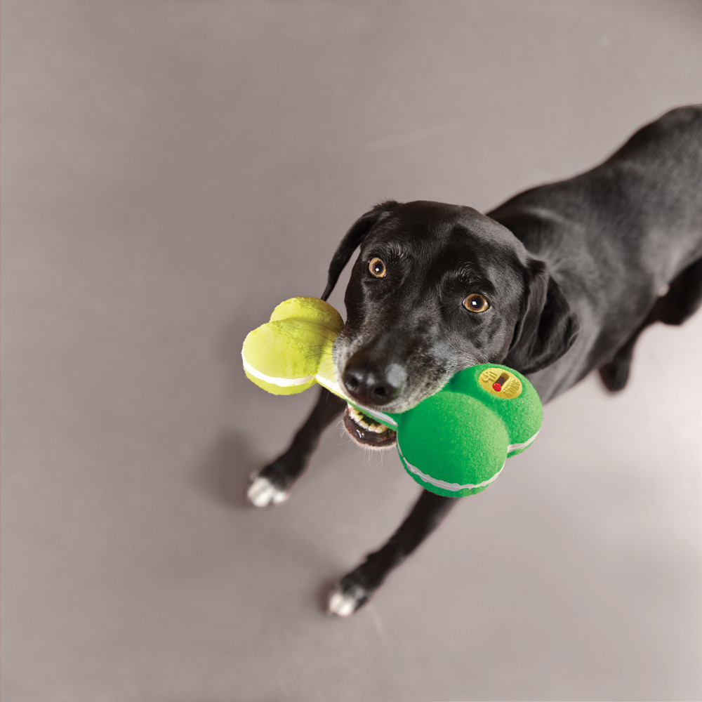 KONG On/Off Squeaker Bone Dog Toy