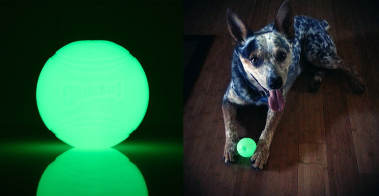 chuckit glow ball