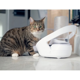 Sure Petcare Felaqua Connect Water Fountain & WIFI Connect Hub Combo Option image 12