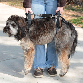 Solvit Lifting Aid - Full Body Dog Lifting Harness & Mobility Aid - Large image 0