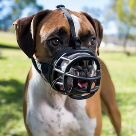 Baskerville Ultra Muzzle for Dogs – Customizable Fit, Lockable Neck Strap image 0