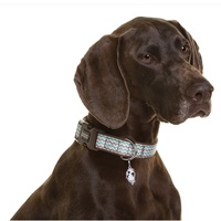 Doog Neoprene Clip Dog Collar - Benji - Aqua Blue & Brown Chevron image 0