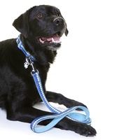 Doog Neoprene Clip Dog Collar - Pluto Blue Waves image 0