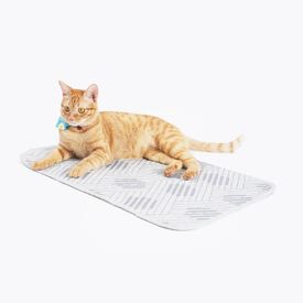 Ibiyaya EcoPaws Reusable Pet Underpad for Multiple including Strollers - Nordic Fusion image 0