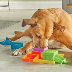 Brightkins Surprise Party! Dog Treat & Food Interactive Puzzle Toy image 0