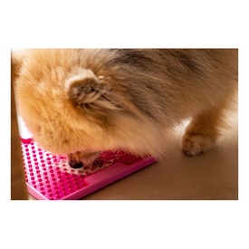 Lickimat Mini Soother Slow Food Bowl Anti-Anxiety Mat for Dogs image 0