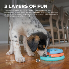 Outward Hound Puppy Lickin' Layers Slow Food Dog Bowl image 0