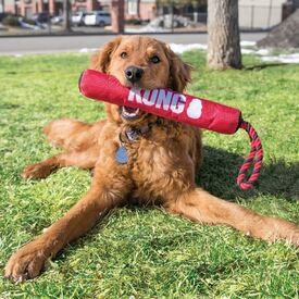 KONG Signature Stick with Rope - Safe Fetch Toy for Dogs - One Size image 0