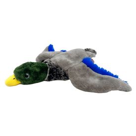 KONG Wild Low Stuffing Floppy Squeaker Dog Toy - Mallard Duck - Bulk Pack of 3 Toys image 0