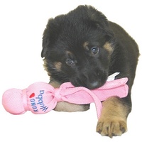 KONG Puppy Wubba Toy with Squeaker and Tails image 0