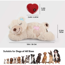 All For Paws Little Buddy Comfort Warm Bear | Soothing Heat Therapy image 0