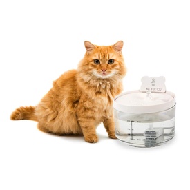 All Fur You Auto Sensor Water Fountain USB Charged | Smart Pet Hydration image 0