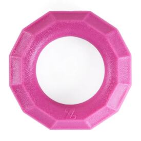 Zippy Paws ZippyTuff+ Fetch & Tug Dog Toy - Magenta Ring  image 0