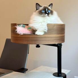 Desk Nest Cat Bed - The Purrfect Cat Bed for Your Desk  image 0