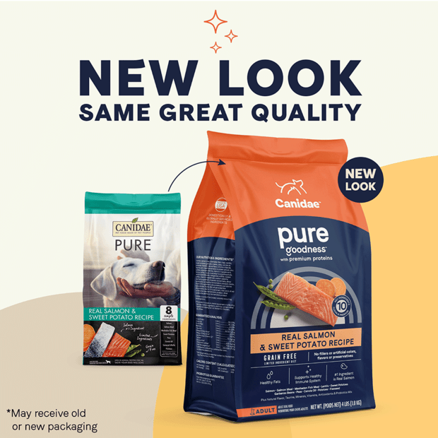 canidae grain free pure sea salmon dry dog food