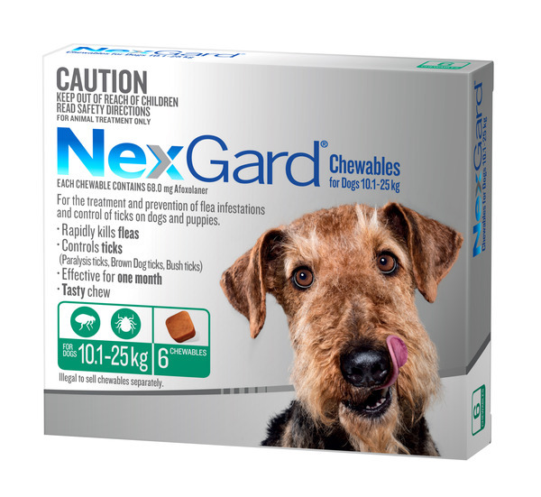 Nexgard For Dogs Flea Tick Control For Dogs