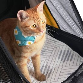 Ibiyaya EcoPaws Reusable Pet Underpad for Multiple including Strollers - Nordic Fusion image 1