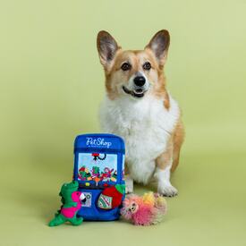 Fringe Studio Ready Set Claw Machine Hide & Seek Burrow Dog Toy image 1