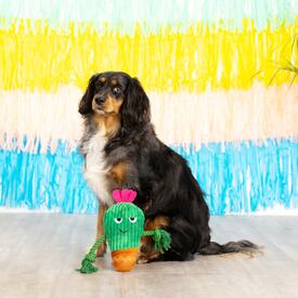 Fringe Studio You Grow Chica! Cactus Plush Dog Toy image 1