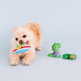 Fringe Studio Rawr-ing Summer Swimming Dinosaurs 3-piece Small Dog Toys image 1