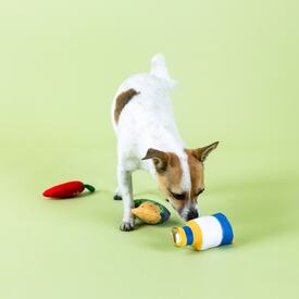 Fringe Studio Happy Hour Beer & Dip 3-piece Small Dog Toys image 1