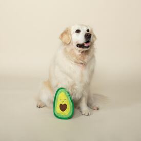 Fringe Studio Avocado Love No Stuffing Plush Dog Toy image 1