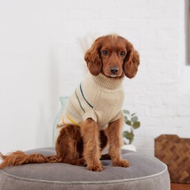 GF Pet Arctic Jumper Knitted Dog Sweater in Sand image 1