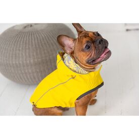 GF Pet Reversible Elasto-Fit Dog Raincoat in Yellow/Leaves image 1