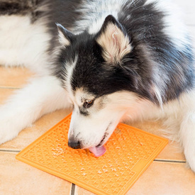 LickiMat Buddy Original Slow Food Licking Mat for LARGE Dogs - Orange image 1