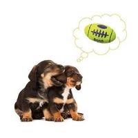 KONG AirDog Squeaker Football Non-Abrasive Fetch Dog Toy image 1