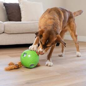 Outward Hound Dog Snuffle N' Treat Ball Puzzle with 6 Plush Chipmunks image 1