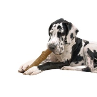 Petstages Durable Dogwood Dog Chew Stick - Large image 1