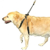 Sporn Halter Harness - The Safe & Humane Dog Halter - Small image 1