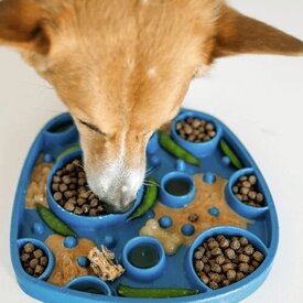 West Paw Feast Lick Mat Slow Feeder for Dogs - Bubbles image 1