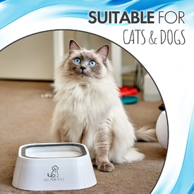 All Fur You Anti Splash Bowl | No Mess Pet Water Bowl - 1 Litre - Grey image 1