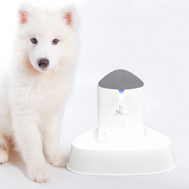 All Fur You Seashell Triple Filtration Pet Water Water Fountain image 1