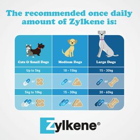 Zylkene Nutritional, Calming & Stress Supplement Capsules for Dogs and Cats image 1