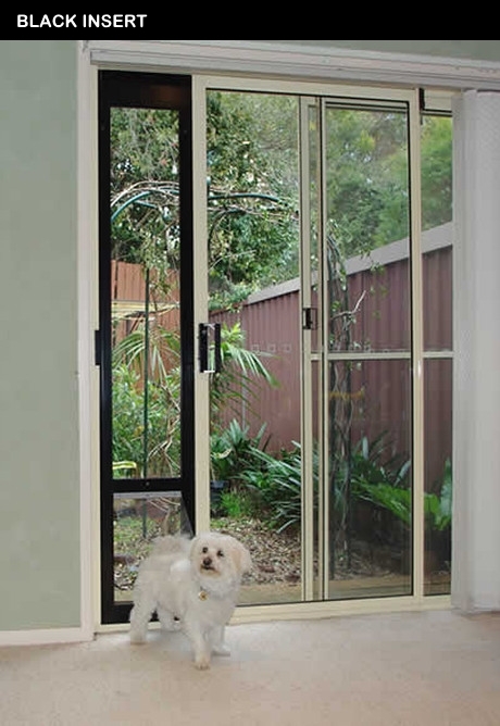 screen door with pet entrance