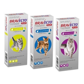 Bravecto PLUS Spot-On 3 month Flea, Tick & Worm Protection - For Cats 1.2-2.8kg image 2