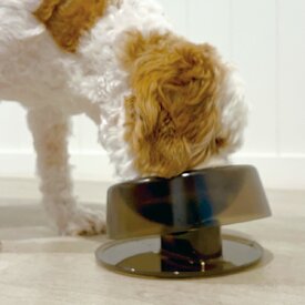 Ibiyaya Tilt-n-Serve Pet Feeding Bowl image 2