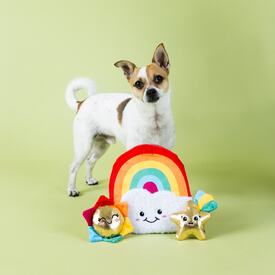 Fringe Studio Look On Bright Side Rainbow Hide & Seek Burrow Dog Toy image 2