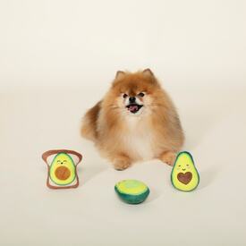 Fringe Studio Avocado on Toast 3-piece Small Dog Toys image 2