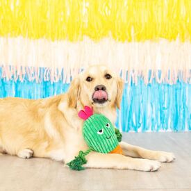 Fringe Studio You Grow Chica! Cactus Plush Dog Toy image 2