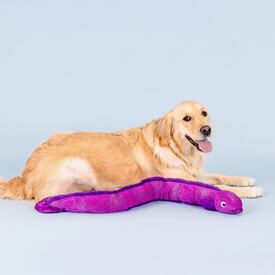 Fringe Studio Kind Of A Big Eel Tug Plush Dog Toy - Extra Large image 2