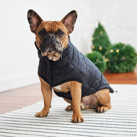 GF Pet Elasto-Fit Adjustable Reversible Chalet Puffer Dog Jacket in Black image 2