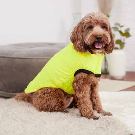 GF Pet Elasto-Fit Adjustable Reversible Chalet Dog Puffer Jacket in Sand/Lime image 2