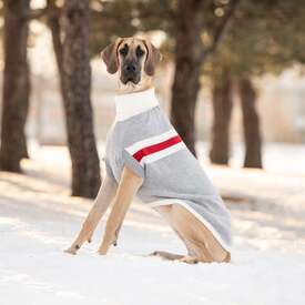 GF Pet Trekking Knitted Dog Sweater in Grey Mix image 2