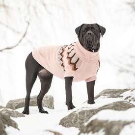 GF Pet Heritage Jumper Knitted Dog Sweater in Pink image 2