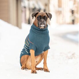 GF Pet Arctic Jumper Knitted Dog Sweater in Dark Teal image 2