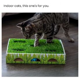 Petstages Grass Patch Hunting Box Interactive Cat Toy with Faux Grass image 2